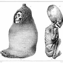 Aymara Mummies