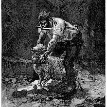 A man leans over a sheep while holding a knife between his teeth