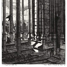 View of the Chimera gallery at Notre-Dame, showing the colonnade and crows fluttering about