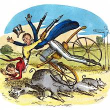Two men riding a dandy horse on a country road run into a sow and fall over