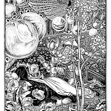 An armored knight kneels by a man lying in a fantasy forest alive with birds and floating spheres