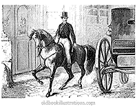 Horse Riding