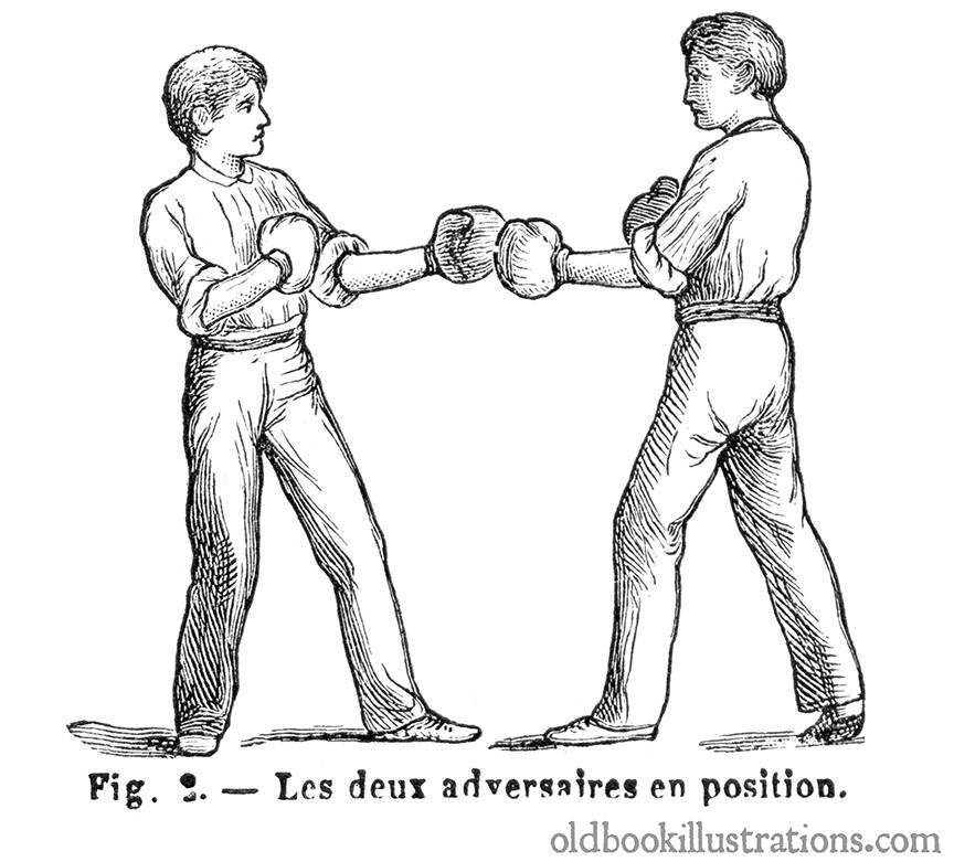 Two Boxers on Guard Old Book Illustrations