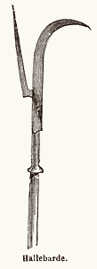 Halberd