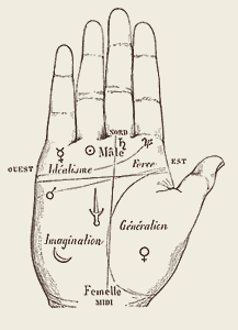 Palmistry: the male and female parts of the hand