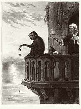 The miser and the monkey