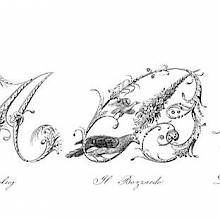 Plate showing ornamental capital letters A, B,and C embellished with pictures of birds.