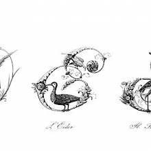 Plate showing ornamental capital letters D, E,and F illuminated with foliage, flowers, and birds