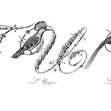 Plate showing ornamental capital letters T, U, and V embellished with pictures of birds