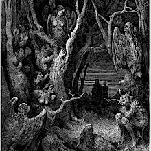 Two silhouettes approach a grove of gnarled trees, where the perched birds are harpies