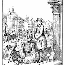 A man holding knife stands at a street corner in front a hand barrow surrounded by dogs