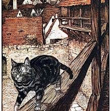 A cat strolls on the wooden railing on the outside second floor walkway