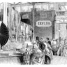 Ceylon department at the Great Exhibition of 1851 with visitors looking at items on display