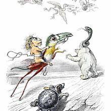 Imaginary creatures such as a tortoise with a dog head are chasing a motley flock of flying animals