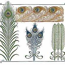 Color plate showing various Art Nouveau ornaments inspired by peacock feathers