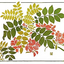 Color plate showing Art Nouveau foliage and flower decoration inspired by natural shapes