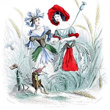 A cornflower and a poppy are depicted as women holding hands among weeds and wheat ears