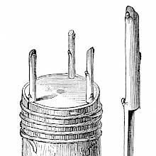 Crown grafting