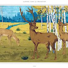 A male red deer stands with a younger stag and a hind in a clearing on the edge of a birch wood