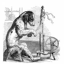 A dog is operating a spinning wheel while giving the viewer an annoyed sideways look