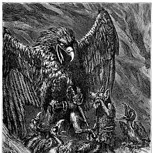 A mother eagle and her offspring are about to feast on a young fox