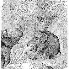 An elephant uses its trunk to uproot a tree where a man is hiding