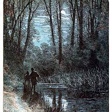 A couple stands on the bank of a stream and looks at the moon through the trees