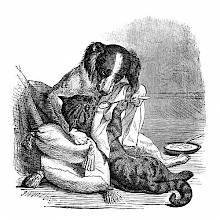 A dog is gently spoon feeding a cat reclining on a cushion