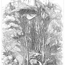A man rides on horseback through a forest while a female figure floats high above him