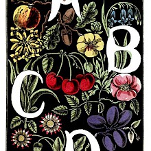 The letters A, B, C, D are drawn in white over a background of plants and fruit