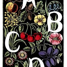 The letters A, B, C, D are drawn in white over a background of plants and fruit