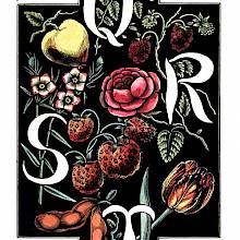The letters Q, R, S, T are drawn in white over a background of plants and fruit