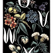 The letters U, V, W, X are drawn in white over a black background decorated with plants and fruit