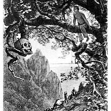 A man is sitting astride a large tree branch as a human skull can be seen in the foreground