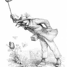 A bird with anthropomorphic features is about to catch a butterfly using a butterfly net