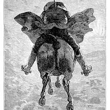 A man is seen from behind riding a horse which flies high above the ground