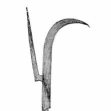 Halberd