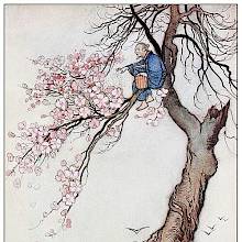 An old man is sitting on the blooming branch of a cherry tree and scatters ashes from a basket