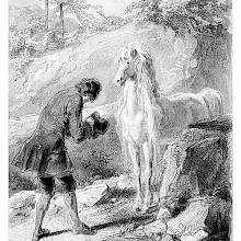 A man with his hat in his hands bows before a white horse with a lavish, wavy mane
