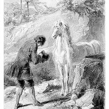A man, holding his hat in his hands, bows before a white horse with a lavish, wavy mane