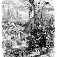 View of lush tropical vegetation, amidst which a thatched hut can barely be distinguished