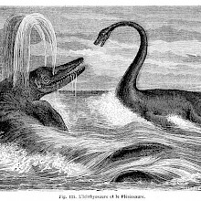 An ichthyosaur and a plesiosaurus are facing each other in the sea