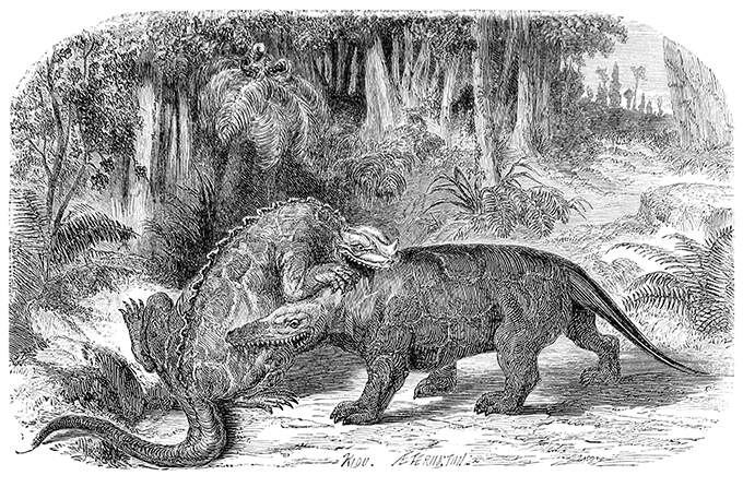 An iguanodon and a megalosaurus are fighting in the Early Cretaceous period