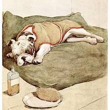 A sick dog lies on a cushion. Next to him are a medicine bottle and a plate with a sponge