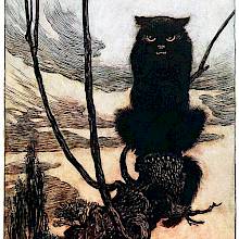 A sullen-looking black cat sits on the branch of a willow tree