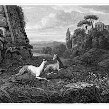 Two Italian greyhounds are frolicking in the park of a villa, which can be seen in the background