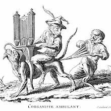 A monkey walks on all fours with an organ and another monkey on its back, a third one following