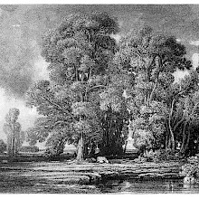 View of a level landscape with a clump of high trees and a pond in the foreground