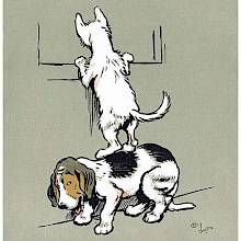 A dog stands on its hind legs on another's back in order to look through a window