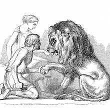 A lion licks a young woman's hand while a man takes its paw to clip its claws